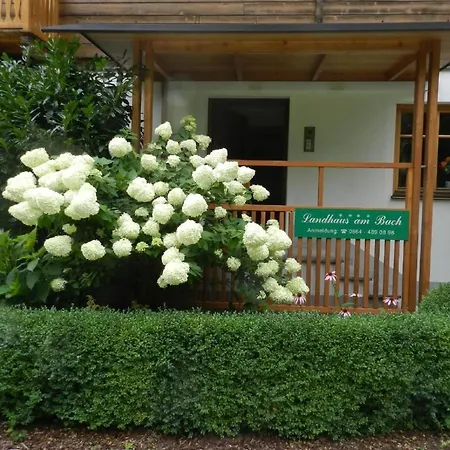 Tolles In Marktgemeinde Mit Garten By Interhome 公寓 *